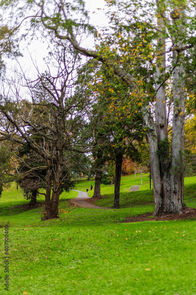 Western Park in Auckland CBD, New Zealand