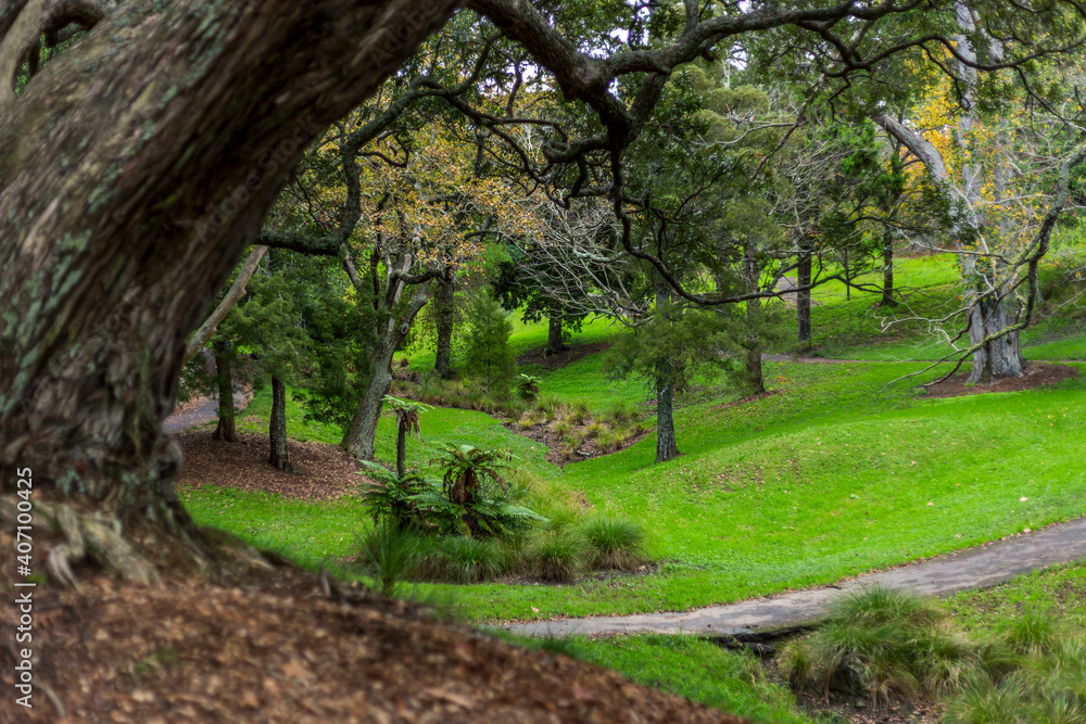 Western Park in Auckland CBD, New Zealand Western Park in Auckland CBD, New Zealand