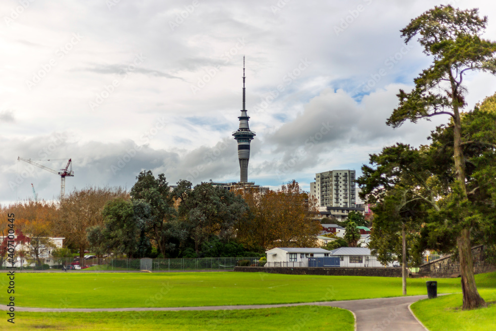 View of the Sky tower from Western parl in Auckland, New Zealand