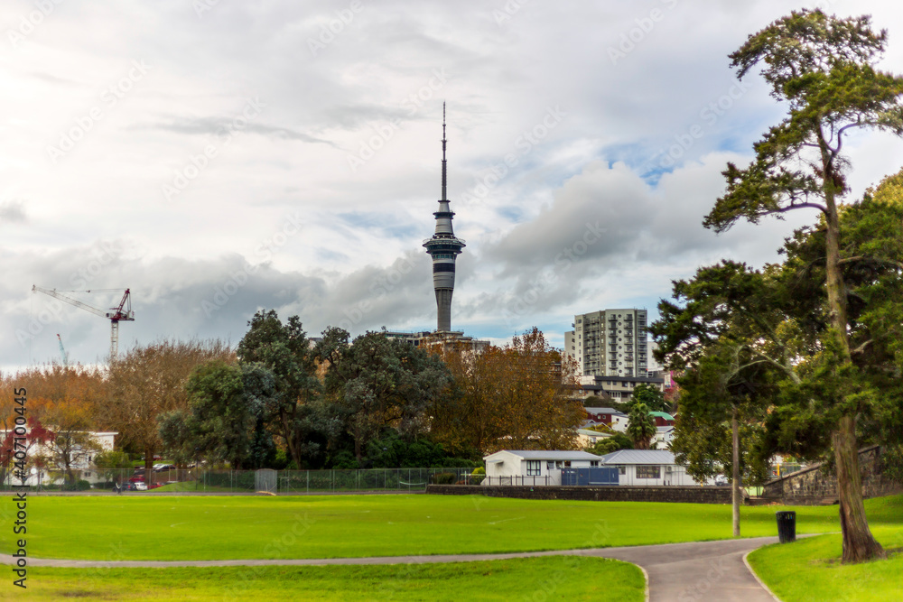 Naklejka premium View of the Sky tower from Western parl in Auckland, New Zealand