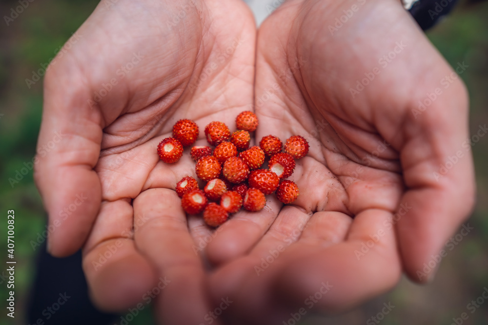 handful of berries handful of berries