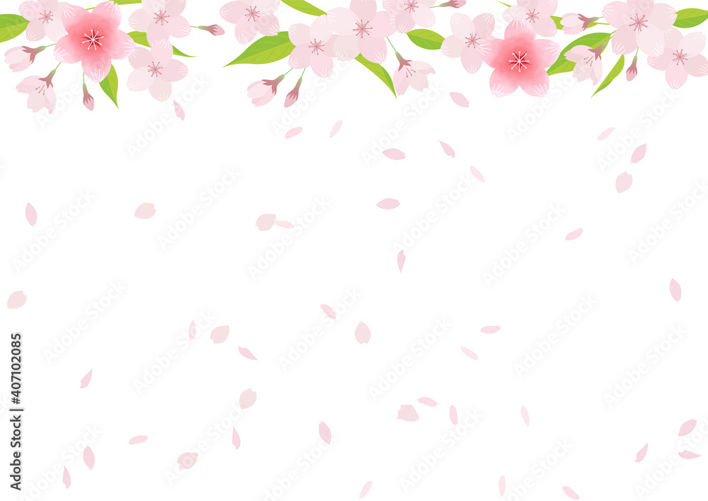 Illustration material of cherry blossoms (vector, white background, cut out)