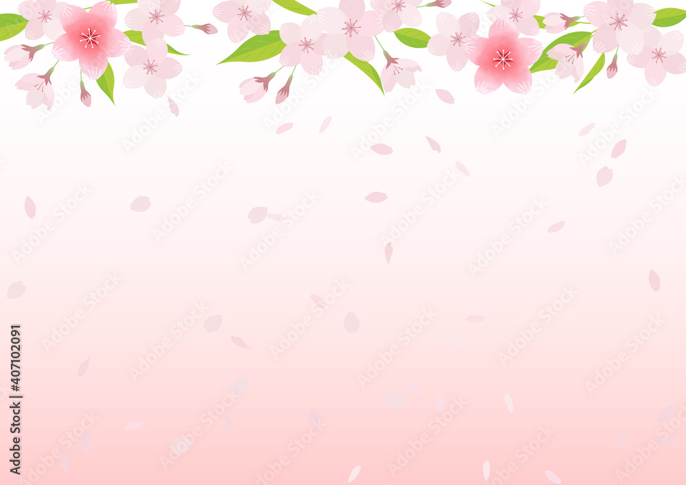 custom made wallpaper toronto digitalIllustration material of cherry blossoms (vector, background)