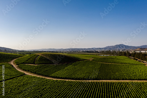 Aerial view of wineyards at Casablanca, Chile
