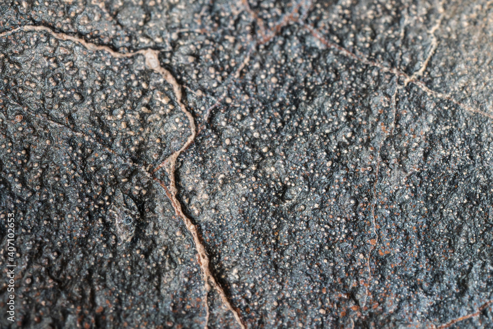 Macro photo of the fusion crust from a Chondrite Meteorite, piece of rock formed in outer space in the early stages of Solar System as asteroids. This meteorite comes from an asteroid fall at Atacama Macro photo of the fusion crust from a Chondrite Meteorite, piece of rock formed in outer space in the early stages of Solar System as asteroids. This meteorite comes from an asteroid fall at Atacama