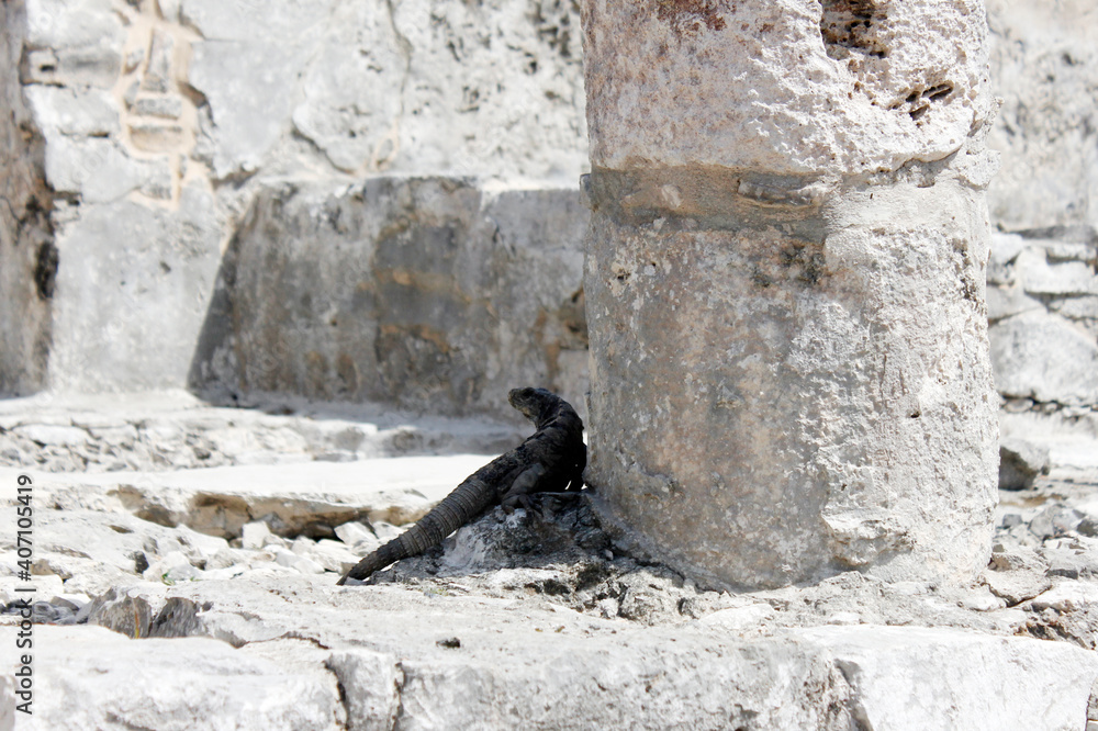 Panoramic of pre-Hispanic architecture in the ruins of the Mayan culture built in Tulum Quintana Roo