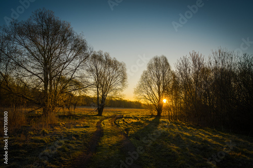 sunrise in the park