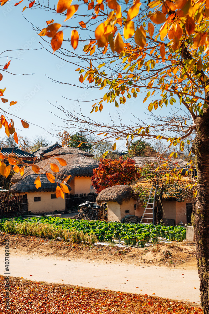 Andong Hahoe Folk Village at autumn in Andong, Korea