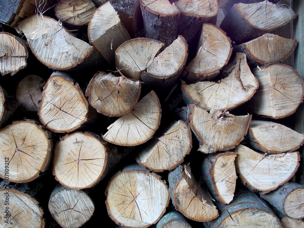Cut and split firewood stacked for drying in a rack.
Cut and split firewood stacked for drying in a rack.