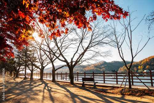 Nakdonggang riverside park at autumn in Andong, Korea photo