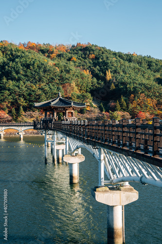 Obraz na płótnie Woryeonggyo Bridge on Nakdong river at autumn in Andong, Korea w salonie