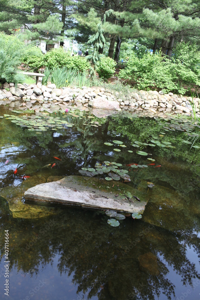 small river in the forest small river in the forest