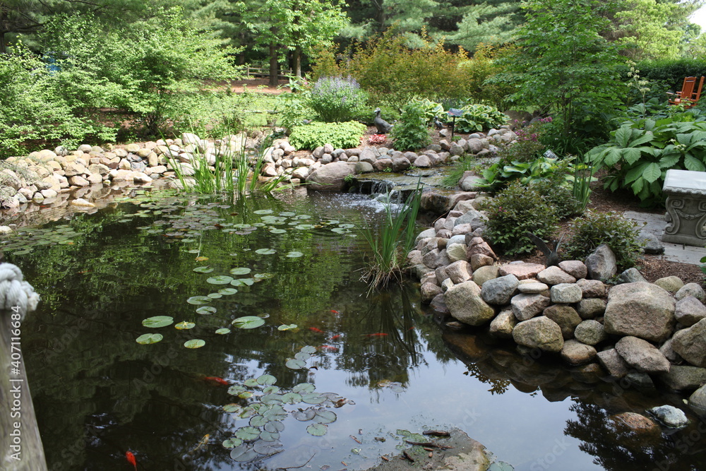 pond with flowers pond with flowers