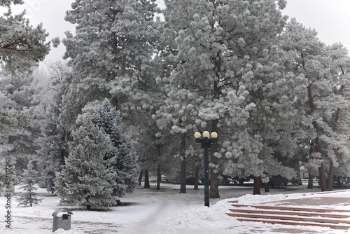 Winter snowy park in Bishkek city © Roma