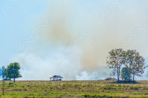 Pollution, smoke from burning rice straw in the field