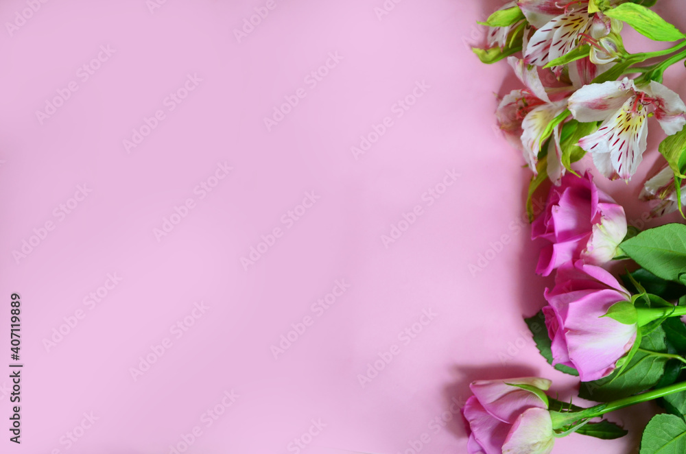 purple and lilac flowers and tulips on a pink background. spring, summer concept, background for cards and cosmetics