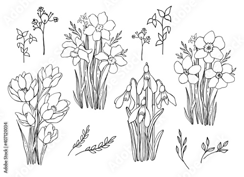 Set of bouquets of spring flowers. Line art. Vector graphics. Isolated elements.