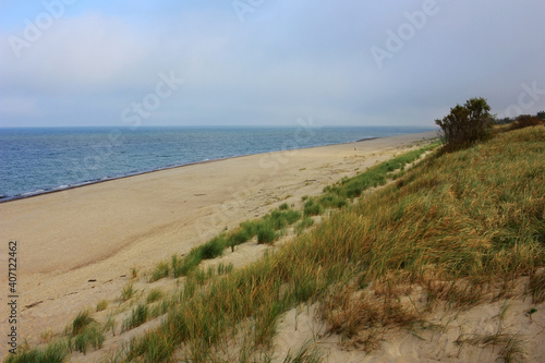 Fototapeta Naklejka Na Ścianę i Meble -  The sandy shore of the Baltic Sea