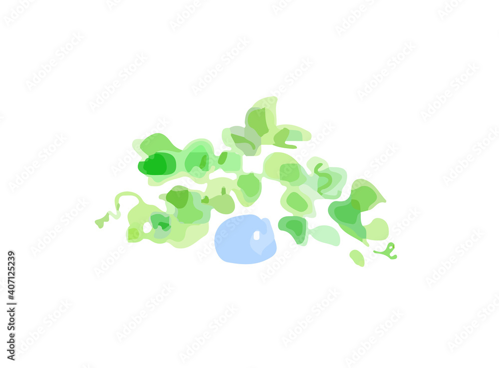 観葉植物 観葉植物