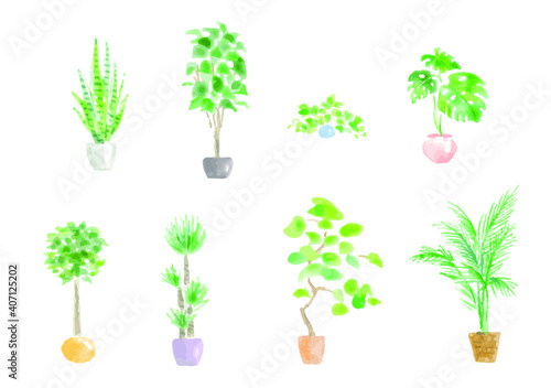 さまざまな観葉植物　セット