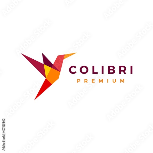 geometric colibri hummingbird logo vector icon illustration