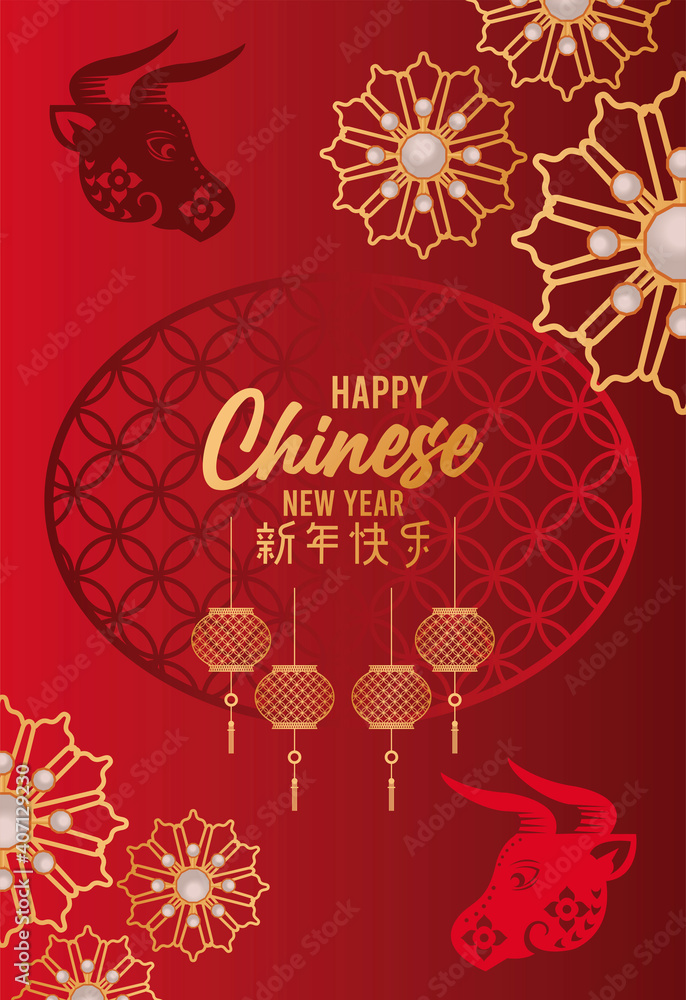 Fototapeta premium happy chinese new year card with oxen and lamps hanging in red background