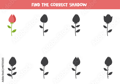 Find the right shadow of cartoon valentine rose.