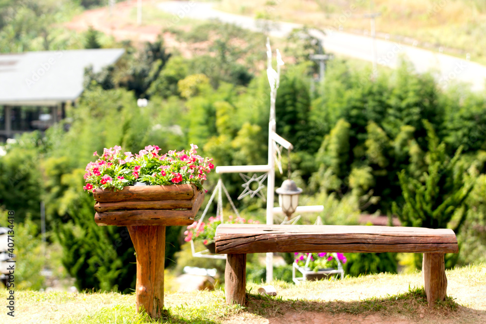 Chair with flower pot, beautiful garden view, Northern Thailand Chair with flower pot, beautiful garden view, Northern Thailand