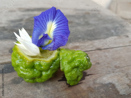 blue flower on the table