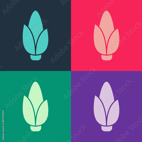 Pop art Corn icon isolated on color background. Vector.