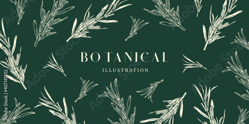 Natural and Healthy Herbs Illustration