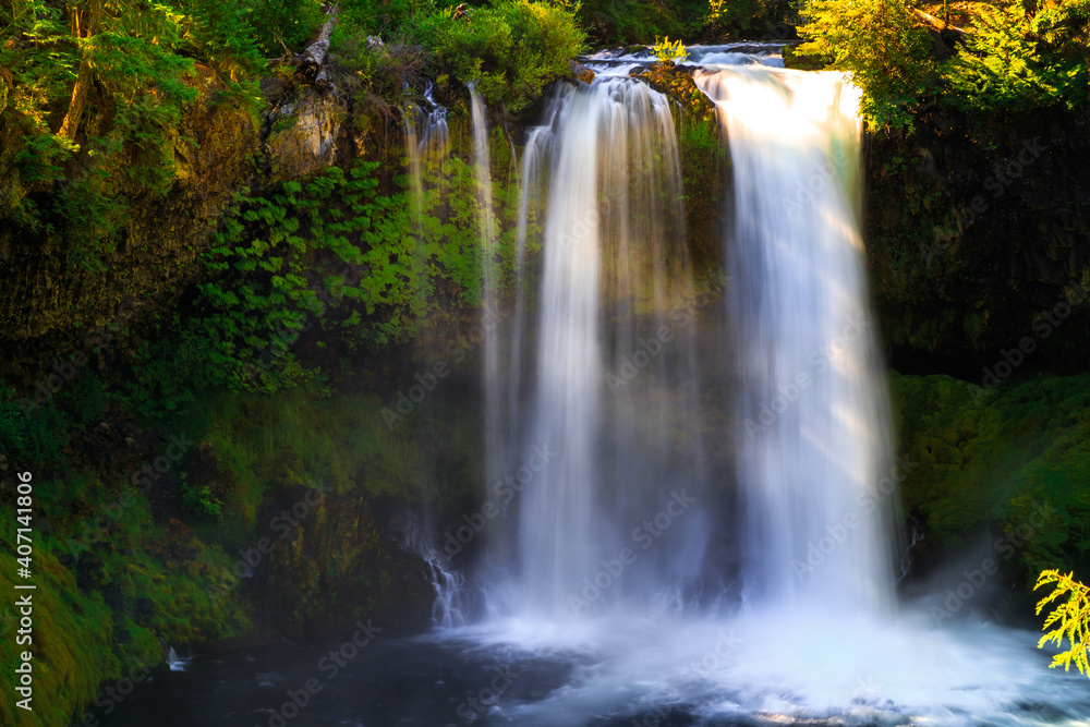 Obraz premium Koosah Falls, McKenzie River, Oregon
