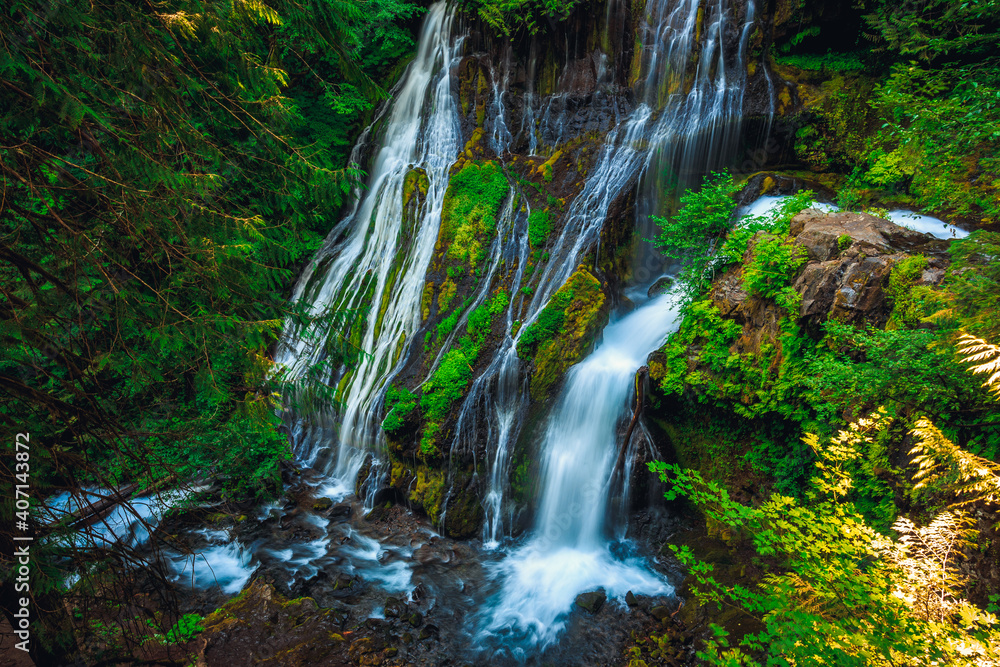 Obraz premium Panther Creek Falls, Gifford Pinchot National Forest, Wasington