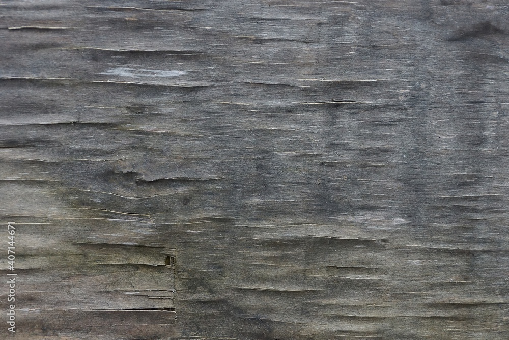 Naklejka premium gray wood texture from old dirty plywood in a wall with cracks
