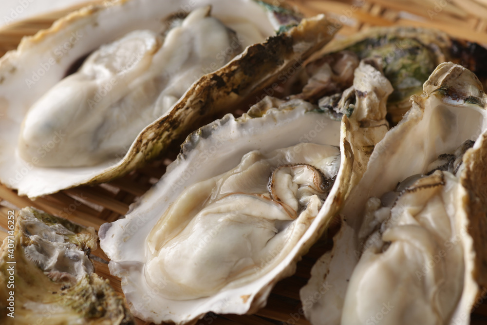 冬の海の味覚の殻付きの牡蠣 冬の海の味覚の殻付きの牡蠣