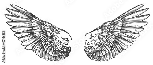 Angel wings, bird wings collection cartoon hand drawn vector illustration sketch