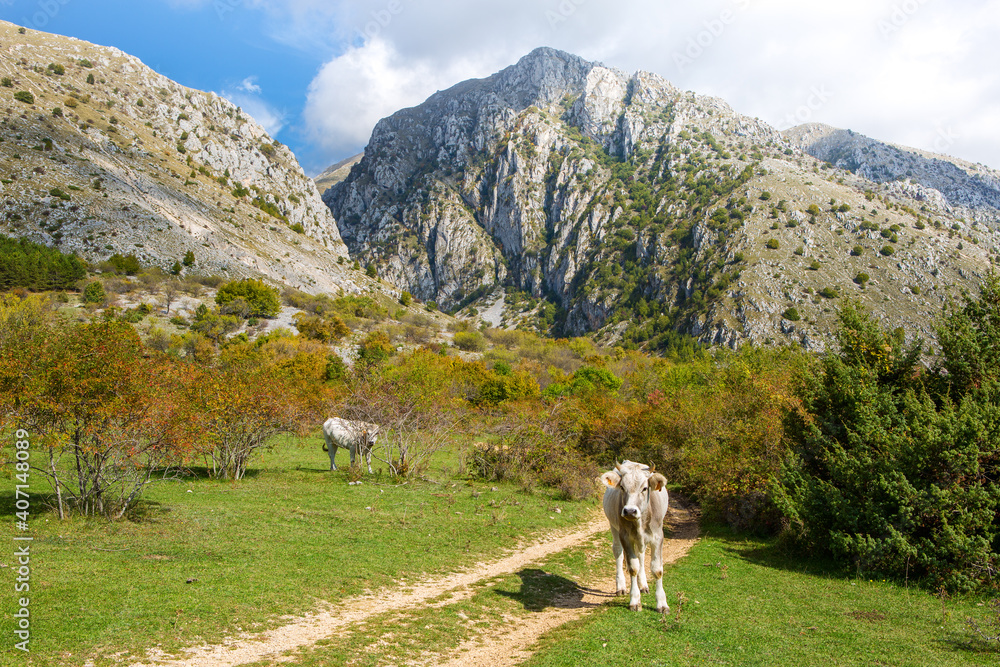 Naklejka premium View from hiking trail in Sirente-Velino Regional Park in autumn, province of L'Aquila, Abruzzo, central Apennines, central Italy.
