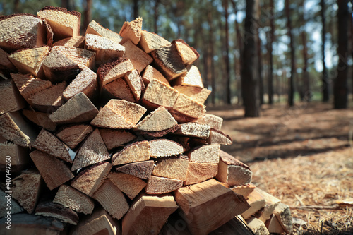 Stack of cut firewood in forest on sunny day, closeup