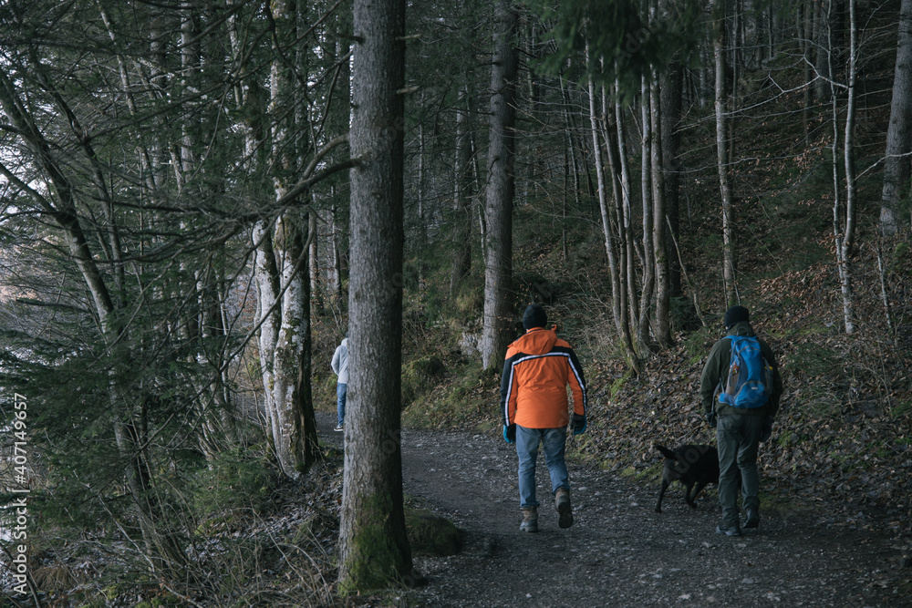 Obraz premium Zwei Wanderer und ein Hund spazieren in Füssen am Weißensee im Wald, Oberallgäu, Bayern, Deutschland