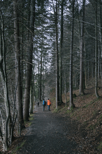 Wanderer im Wald am Weißensee in Füssen, Oberallgäu, Bayern, Deutschland
