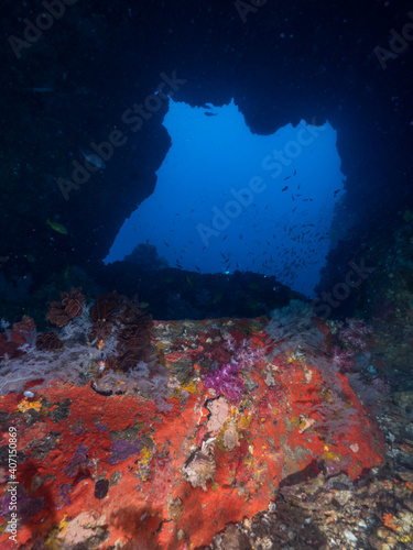 The opening of underwater cave  Mergui archipelago  Myanmar 