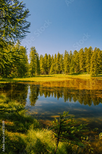 Fototapeta Naklejka Na Ścianę i Meble -  Reflets sur un lac au pied d'une montagne