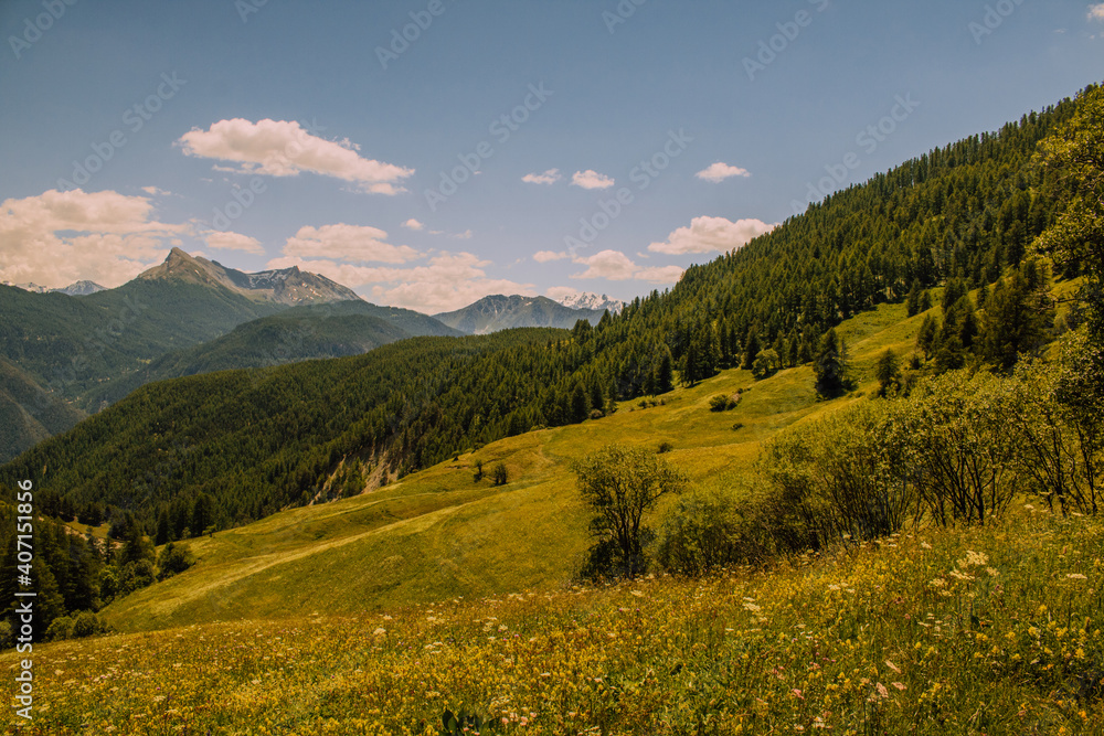 Petit paysage de vaccance et de montagne
