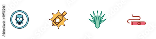 Set Mexican skull coin, Tabasco sauce, Agave and Cigar icon. Vector.