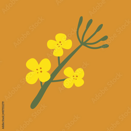 Canola on a white isolated background. Yellow hand-drawn bright flowers. Blooming design elements for postcards, banners. Beautiful buds in a flat style.