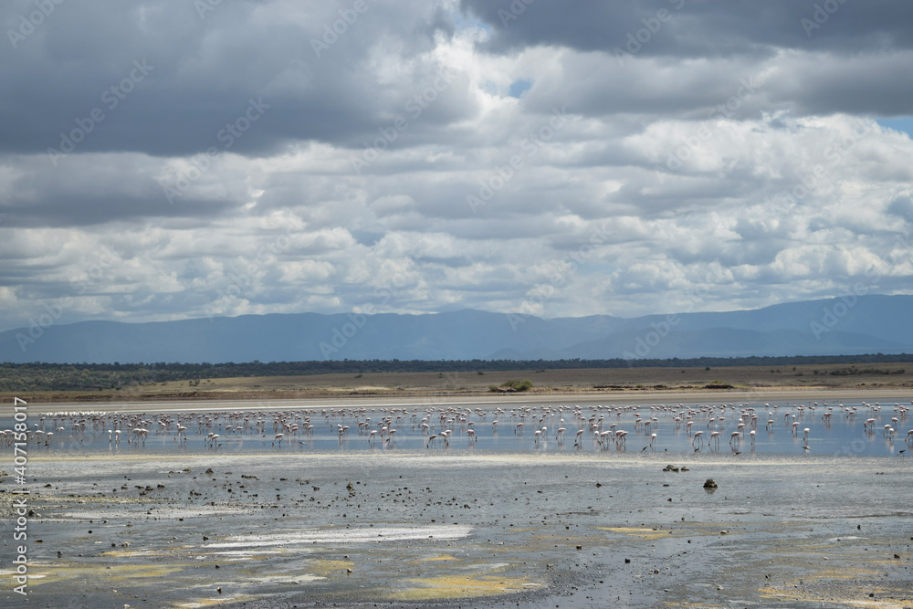 Scenic landscapes at the shores of Lake Magadi in rural Kenya