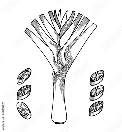Vector drawing of leek, black and white graphics, long onion feathers, sliced leek rings, delicious healthy natural vegetable, hand-drawn, natural eco-product, farmer, vegetarian, retro style.