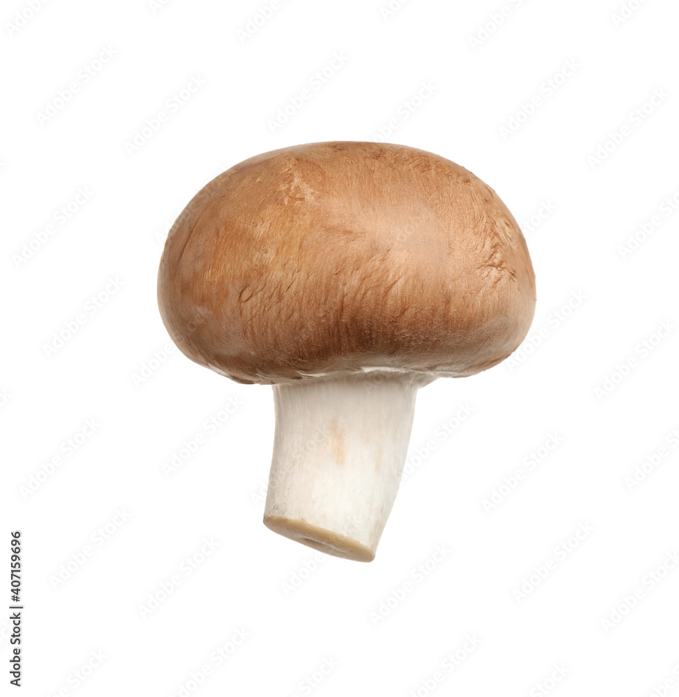 Fresh wild champignon mushroom isolated on white Fresh wild champignon mushroom isolated on white
