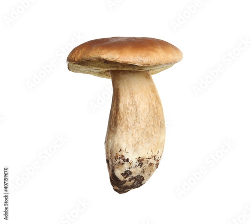 Fresh slippery jack mushroom isolated on white
