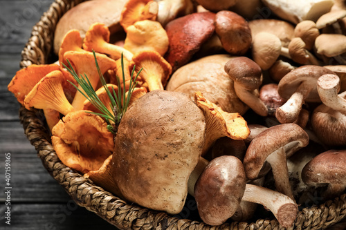 Different fresh wild mushrooms in wicker bowl on table, closeup